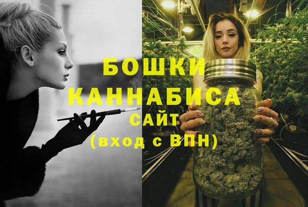 ALPHA-PVP Краснослободск